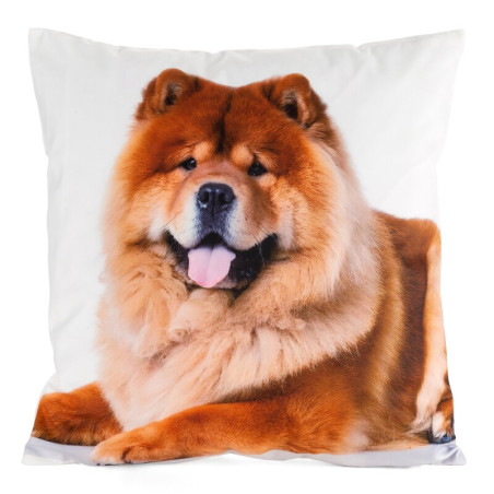 POSZEWKA ANIMAL 73 45 X 45 CM BIAŁY - 4