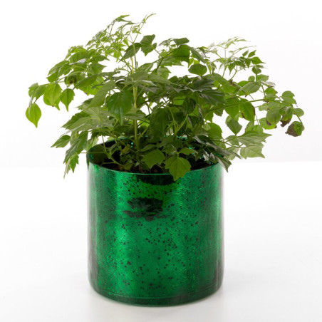 Szkło Dekoracyjne Verre3 15X15Cm Zielony - 2